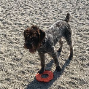 Meet your Posher, Jess